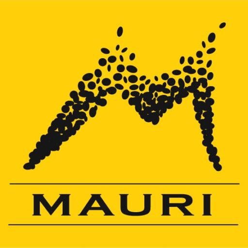 Groupe Mauri logo